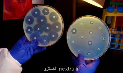 عصاره شوید كوهی گزینه ای برای ساخت آنتی بیوتیك های جدید