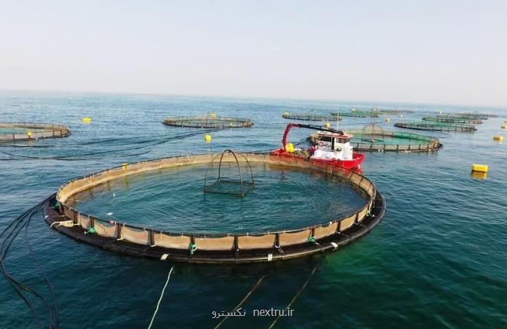قفسه پرورش ماهی دریای آزاد در ایران ساخته شد