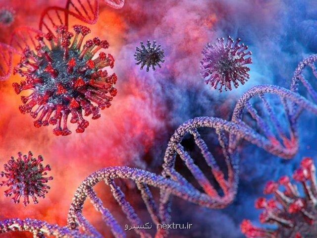 احتمال ابتلای مجدد به کرونا چقدر است؟