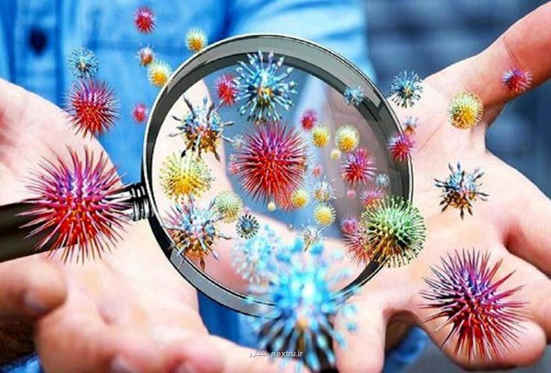 امکان ماندگاری آنتی بادی های ناشی از مبتلاشدن به کرونا تا 20 ماه