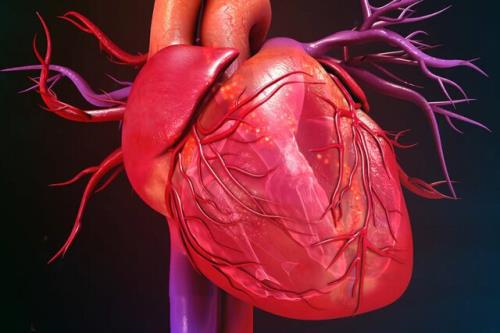 رژیمی برای پیش گیری از مبتلاشدن به بیماریهای قلبی عروقی