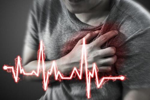 نقش دارچین در پیشگیری و درمان بیماری های قلبی