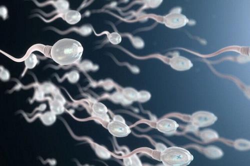 تبدیل سلول های بنیادی اسپرم به سلول های بنیادی القایی برای حل مشکل ناباروری مردانه