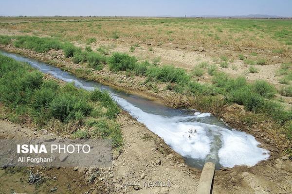 آبیاری با پساب شهری و تبدیل گیاهان به منبع فلزات سنگین