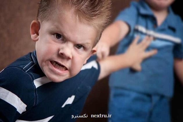 اصلاح رفتار پرخاشگرانه کودکان با آموزش هوش اخلاقی