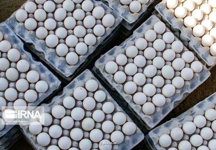 متفورمین، تخم گذاری مرغ ها را زیاد می کند