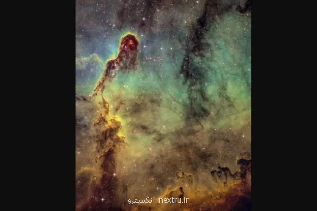 عکسی از خرطوم فیل در آسمان!